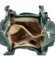 Dámska kožená kabelka tmavo zelená - Delami Minestra