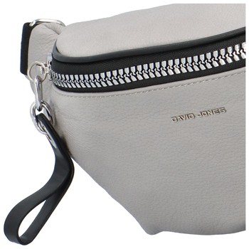 Dámska módna ľadvinka svetlosivá - David Jones Dria