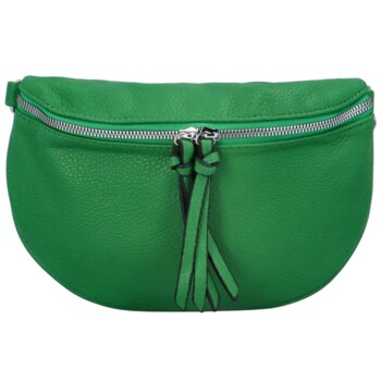 Dámska ľadvinka zelená - Paolo Bags Justice