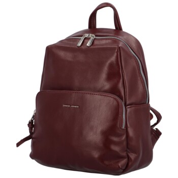 Mestský batoh vínový - David Jones Saima