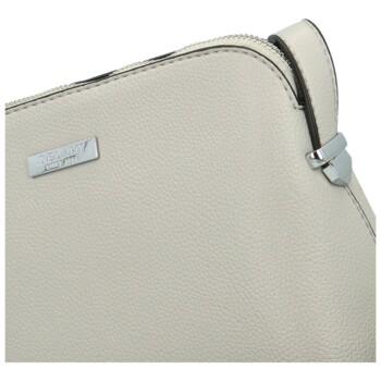 Dámska crossbody kabelka svetlo šedá - Delami Glamore