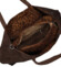 Dámsky set kabeliek coffee - Paolo bags Salomea
