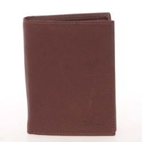 Pánska kožená hnedá peňaženka - Delami Therron