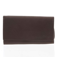 Štýlová hnedá dámska peňaženka - Delami VIPP