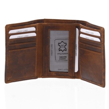 Pánska kožená peňaženka hnedá - Tomas Ziggi